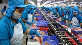 Tra fish farming to be standardized